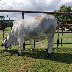 Meet your Posher, Robin